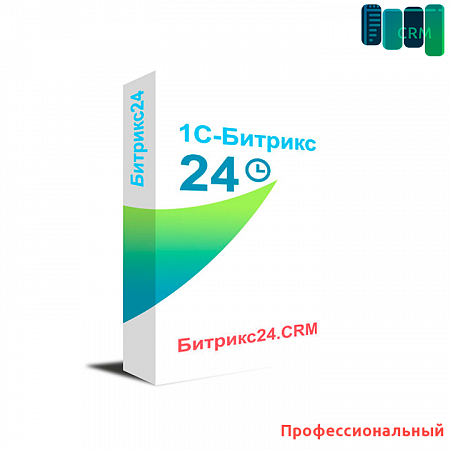 Профессиональный. 12 месяцев